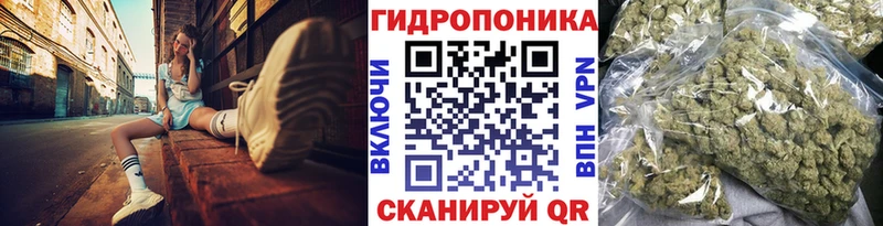 Как найти закладки Новая Ляля Каннабис  Кокаин  mega как войти  Меф  СОЛЬ 